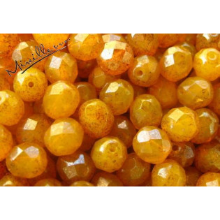 Ohňovky medově žluté s hnědým listrem listr, 8 mm
